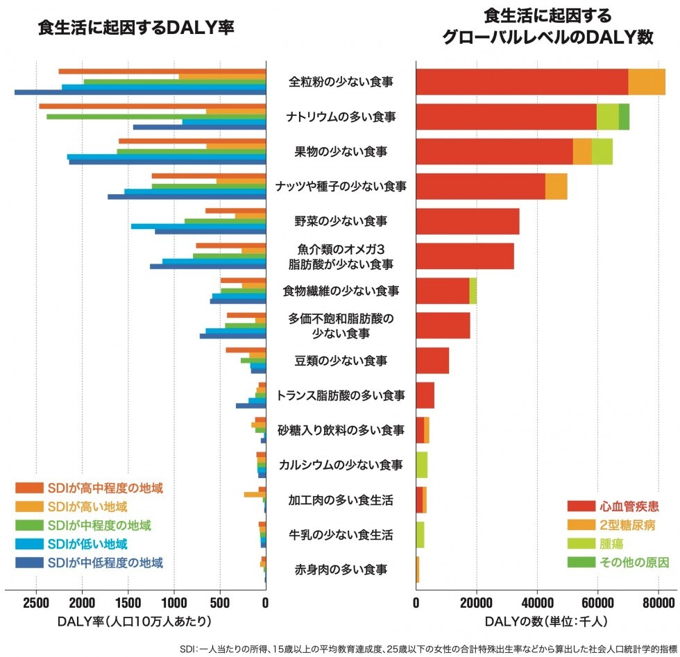 食生活に起因するDALY率　食生活に起因するグローバルレベルのDALY数　説明画像